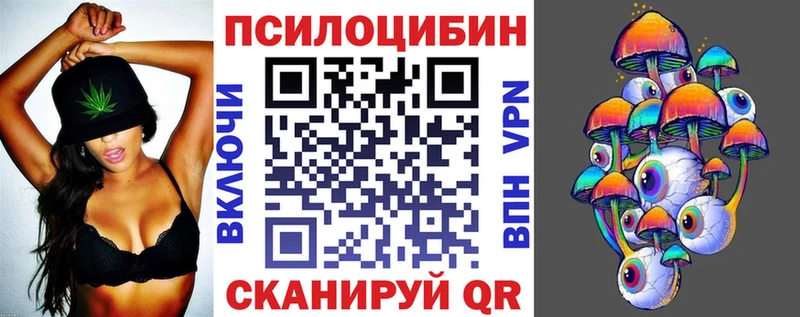 Галлюциногенные грибы Psilocybe  закладки  Пионерский 